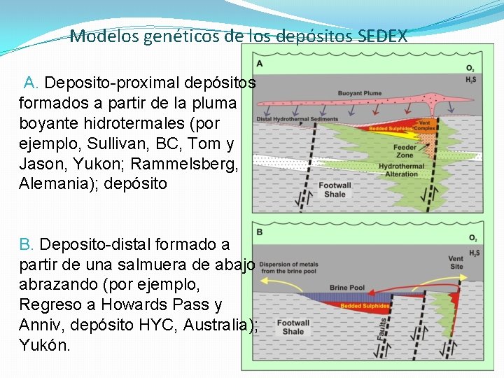 Modelos genéticos de los depósitos SEDEX A. Deposito-proximal depósitos formados a partir de la