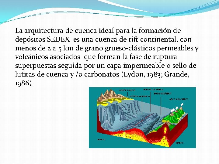 La arquitectura de cuenca ideal para la formación de depósitos SEDEX es una cuenca