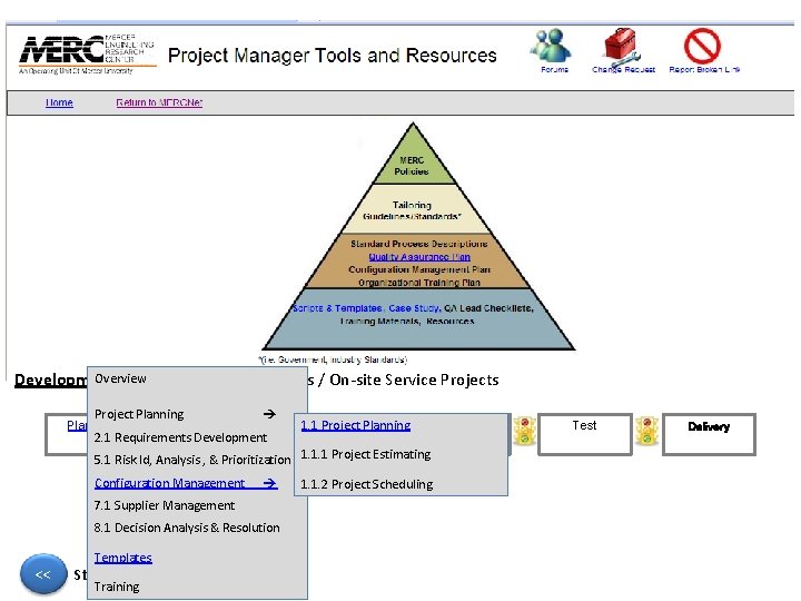 Overview Development Projects / Analysis Projects / On-site Service Projects Project Planning Requirements 2.