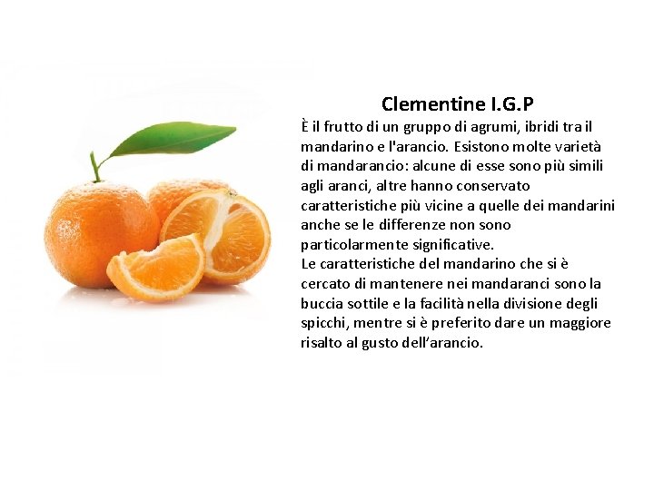 Clementine I. G. P È il frutto di un gruppo di agrumi, ibridi tra