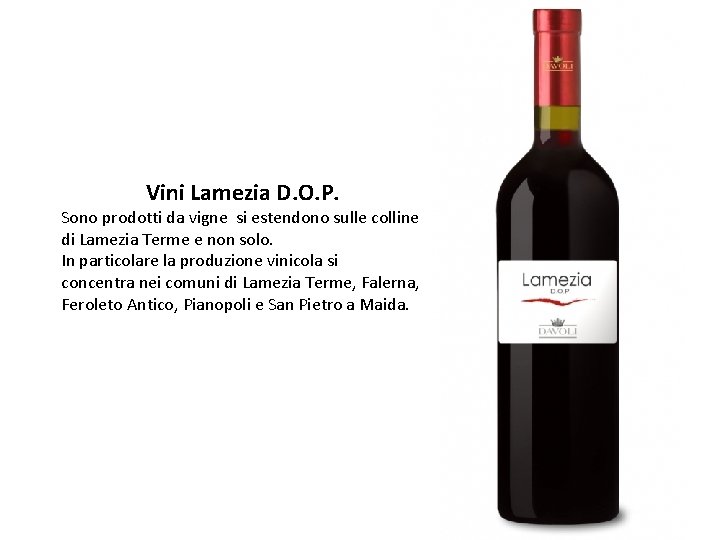 Vini Lamezia D. O. P. Sono prodotti da vigne si estendono sulle colline di