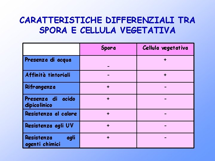 CARATTERISTICHE DIFFERENZIALI TRA SPORA E CELLULA VEGETATIVA Spora Presenza di acqua - Cellula vegetativa