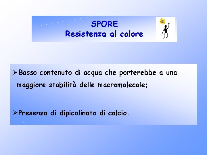 SPORE Resistenza al calore ØBasso contenuto di acqua che porterebbe a una maggiore stabilità