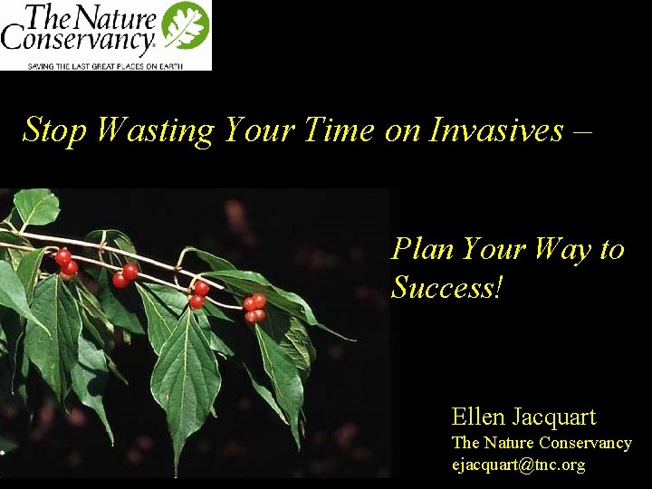 Stop Wasting Your Time on Invasives – Plan Your Way to Success! Ellen Jacquart