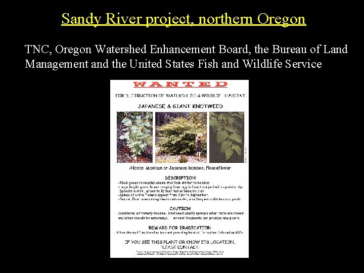 Sandy River project, northern Oregon TNC, Oregon Watershed Enhancement Board, the Bureau of Land