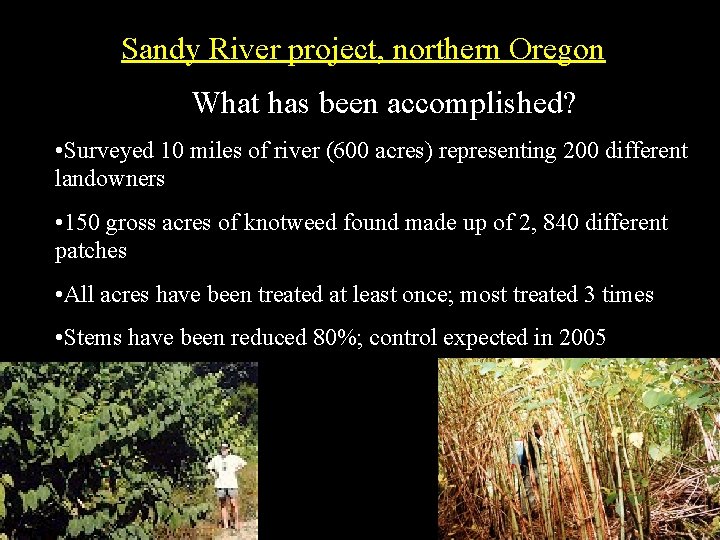 Sandy River project, northern Oregon What has been accomplished? • Surveyed 10 miles of
