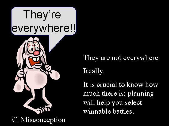 They’re everywhere!! They are not everywhere. Really. It is crucial to know how much