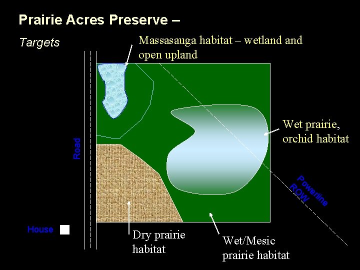 Prairie Acres Preserve – Massasauga habitat – wetland open upland Wet prairie, orchid habitat
