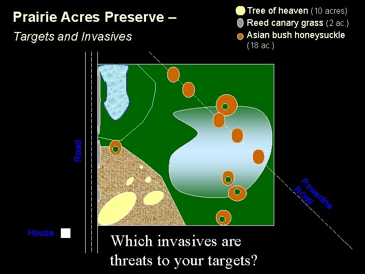 Prairie Acres Preserve – (18 ac. ) Road Targets and Invasives Tree of heaven