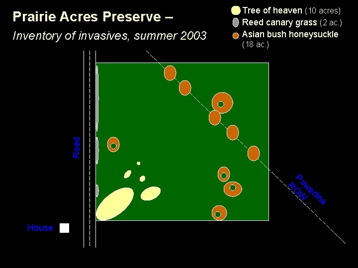 Prairie Acres Preserve – (18 ac. ) Road Inventory of invasives, summer 2003 Tree