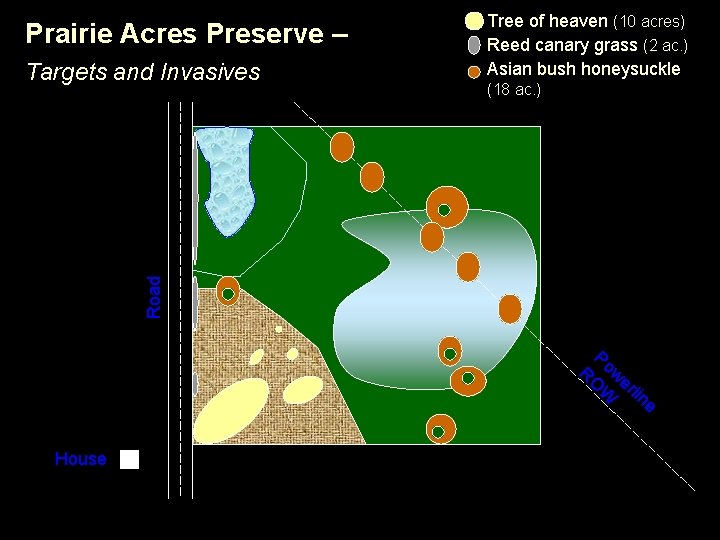 Prairie Acres Preserve – (18 ac. ) Road Targets and Invasives Tree of heaven