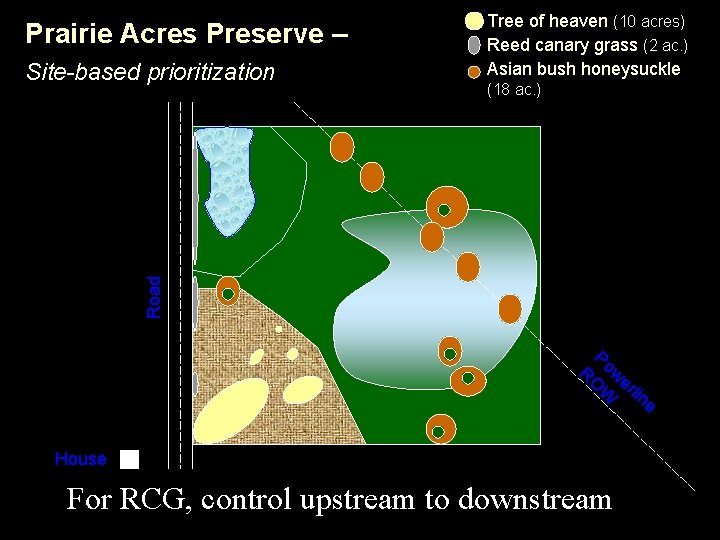 Prairie Acres Preserve – (18 ac. ) Road Site-based prioritization Tree of heaven (10