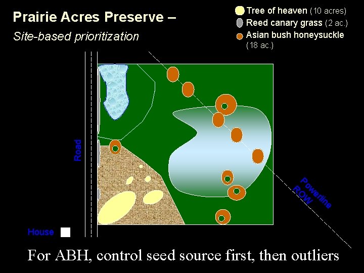 Prairie Acres Preserve – (18 ac. ) Road Site-based prioritization Tree of heaven (10