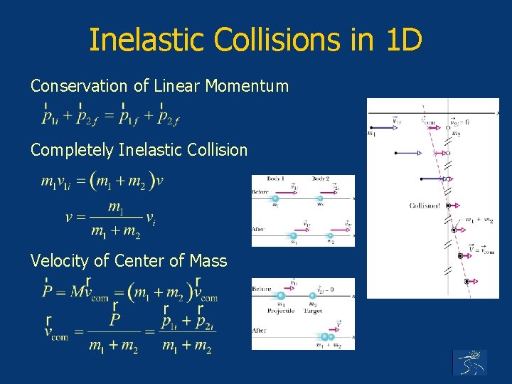 Inelastic Collisions in 1 D Conservation of Linear Momentum Completely Inelastic Collision Velocity of