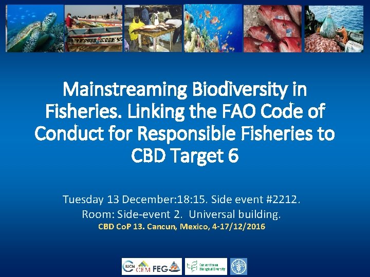 Mainstreaming Biodiversity in Fisheries. Linking the FAO Code of Conduct for Responsible Fisheries to