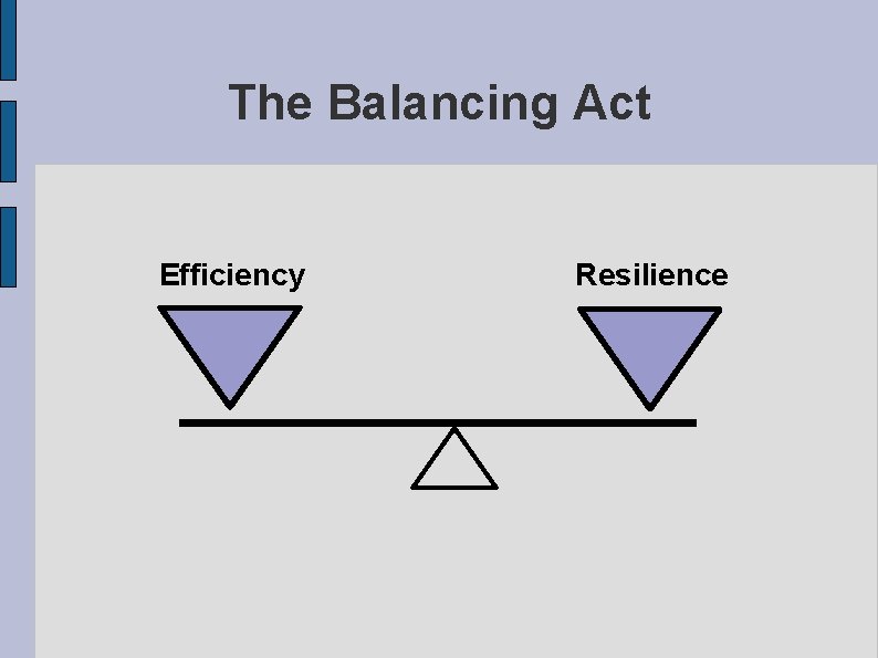 The Balancing Act Efficiency Resilience 