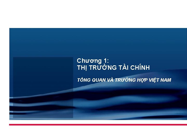 Chương 1: THỊ TRƯỜNG TÀI CHÍNH TỔNG QUAN VÀ TRƯỜNG HỢP VIỆT NAM 