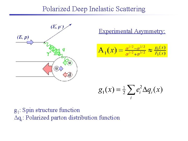 Polarized Deep Inelastic Scattering Experimental Asymmetry: g 1: Spin structure function Δqi: Polarized parton