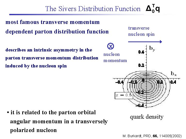 The Sivers Distribution Function most famous transverse momentum transverse nucleon spin dependent parton distribution