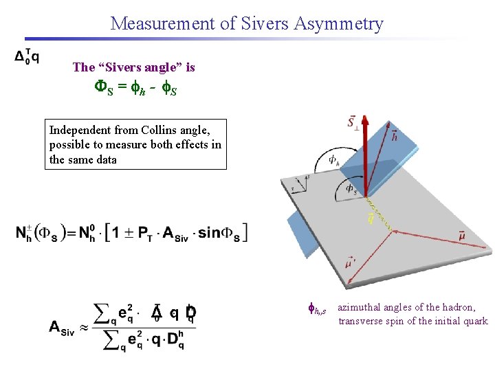 Measurement of Sivers Asymmetry The “Sivers angle” is S = h - S Independent