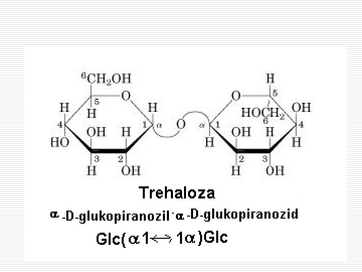 TREHALOZA 