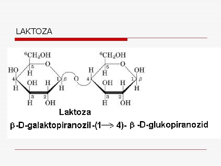 LAKTOZA 