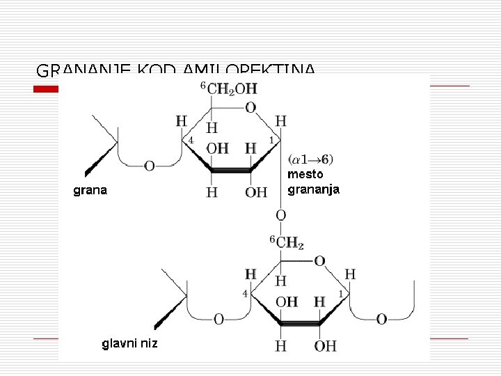 GRANANJE KOD AMILOPEKTINA 