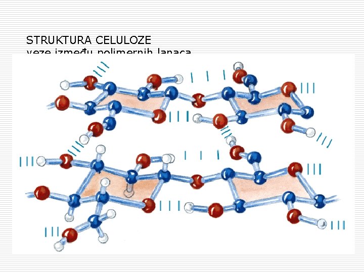 STRUKTURA CELULOZE veze između polimernih lanaca 