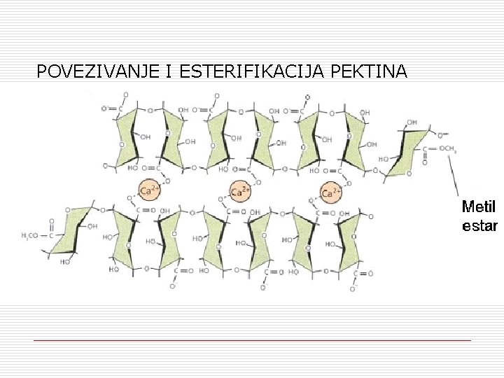 POVEZIVANJE I ESTERIFIKACIJA PEKTINA 