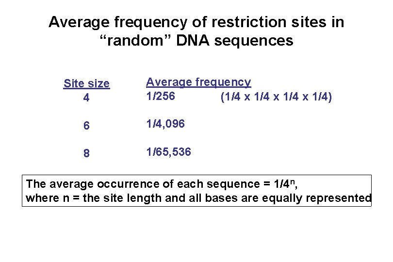 Average frequency of restriction sites in “random” DNA sequences Site size 4 Average frequency