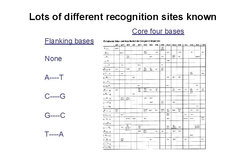 Lots of different recognition sites known Core four bases Flanking bases None A----T C----G