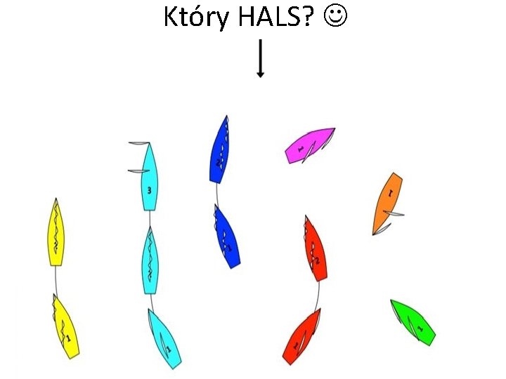 Który HALS? 