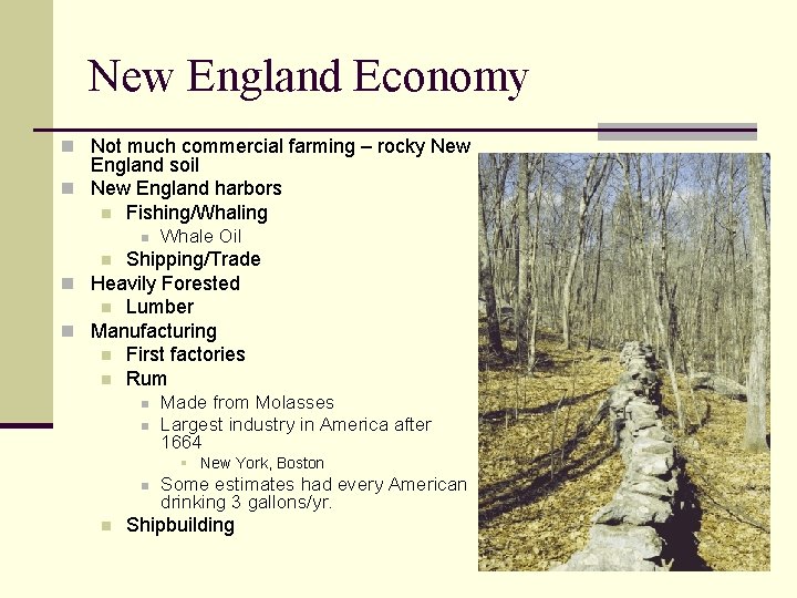 New England Economy n Not much commercial farming – rocky New England soil n