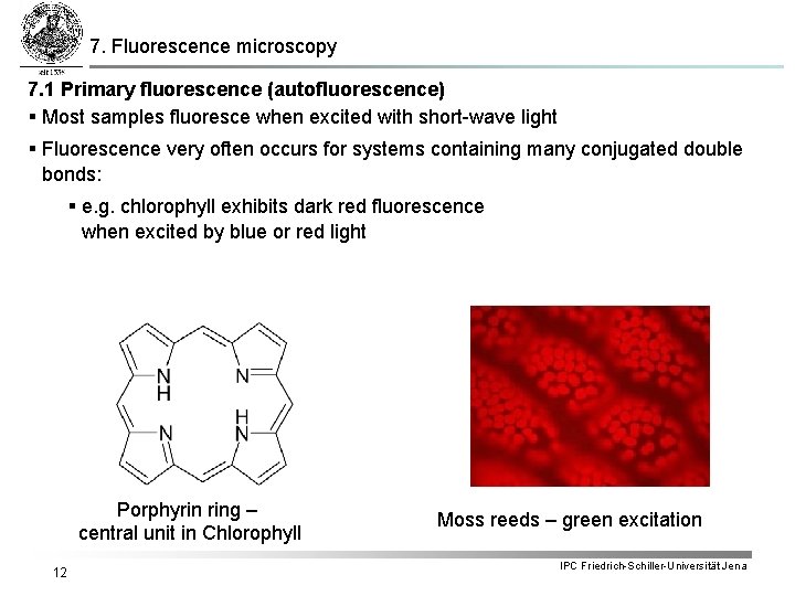 7. Fluorescence microscopy 7. 1 Primary fluorescence (autofluorescence) § Most samples fluoresce when excited