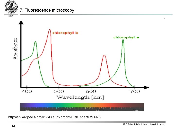7. Fluorescence microscopy http: //en. wikipedia. org/wiki/File: Chlorophyll_ab_spectra 2. PNG 13 IPC Friedrich-Schiller-Universität Jena