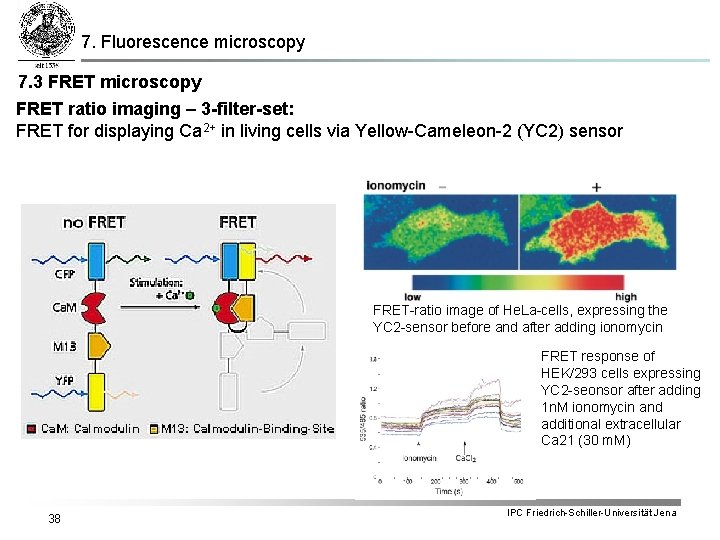 7. Fluorescence microscopy 7. 3 FRET microscopy FRET ratio imaging – 3 -filter-set: FRET