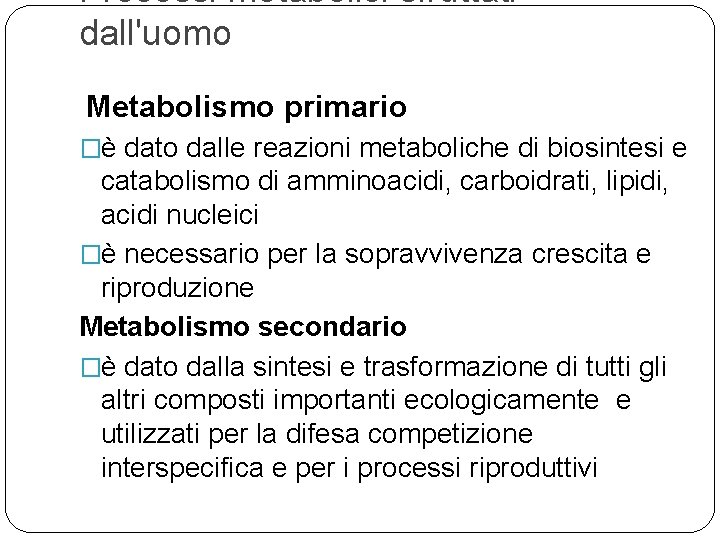 Processi metabolici sfruttati dall'uomo Metabolismo primario �è dato dalle reazioni metaboliche di biosintesi e