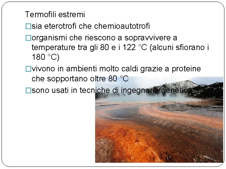 Termofili estremi �sia eterotrofi chemioautotrofi �organismi che riescono a sopravvivere a temperature tra gli
