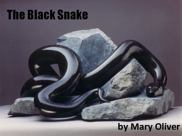 The Black Snake by Mary Oliver 