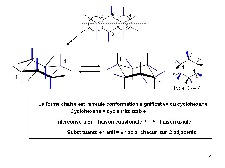 1 4 Type CRAM La forme chaise est la seule conformation significative du cyclohexane