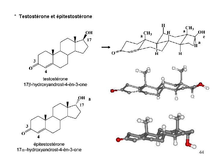 * Testostérone et épitestostérone a 44 