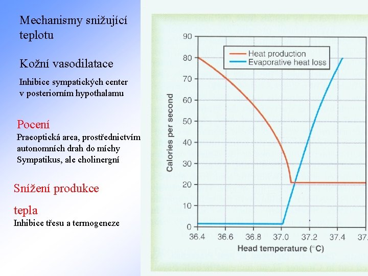 Mechanismy snižující teplotu Kožní vasodilatace Inhibice sympatických center v posteriorním hypothalamu Pocení Praeoptická area,