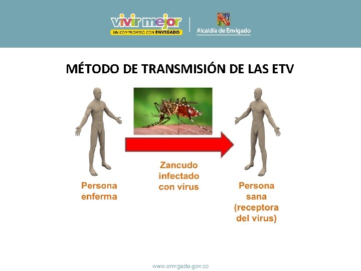 MÉTODO DE TRANSMISIÓN DE LAS ETV MÉTODO DE TRANSMISIÓN DE LAS ETV