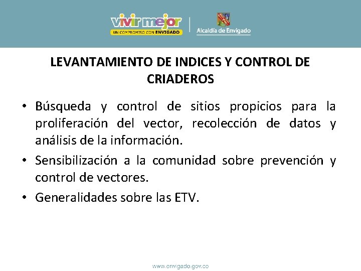 LEVANTAMIENTO DE INDICES Y CONTROL DE CRIADEROS • Búsqueda y control de sitios propicios LEVANTAMIENTO DE INDICES Y CONTROL DE CRIADEROS • Búsqueda y control de sitios propicios