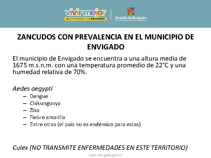 ZANCUDOS CON PREVALENCIA EN EL MUNICIPIO DE ENVIGADO El municipio de Envigado se encuentra ZANCUDOS CON PREVALENCIA EN EL MUNICIPIO DE ENVIGADO El municipio de Envigado se encuentra