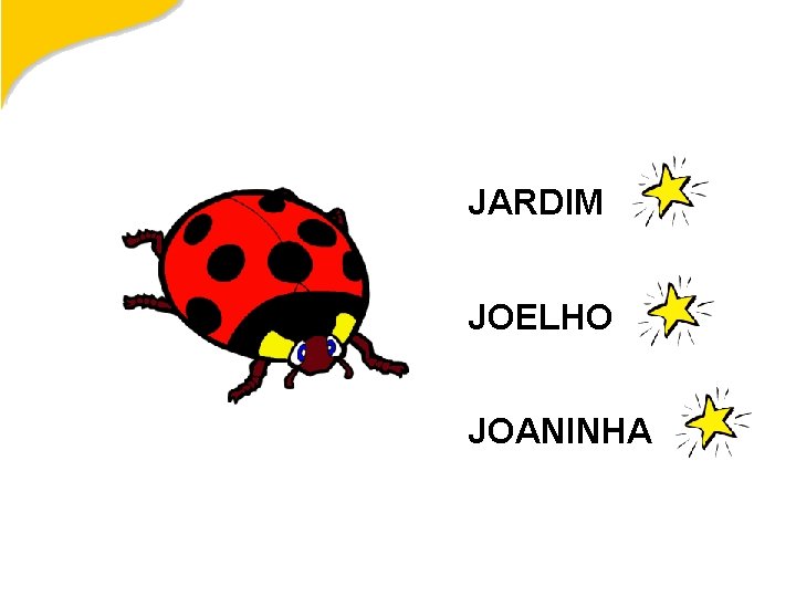 JARDIM JOELHO JOANINHA 