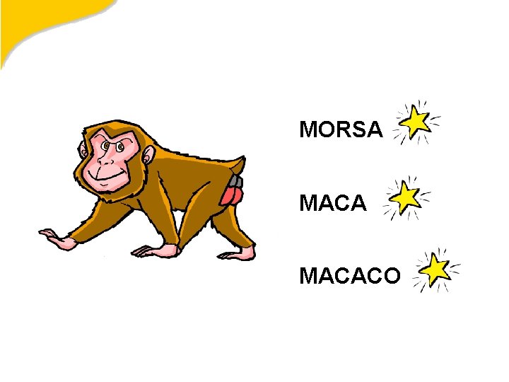 MORSA MACACO 