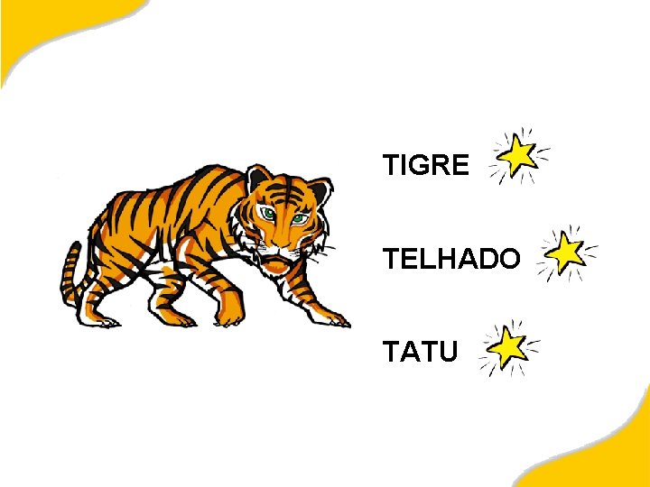 TIGRE TELHADO TATU 