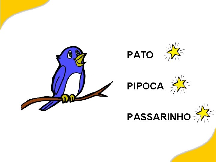 PATO PIPOCA PASSARINHO 