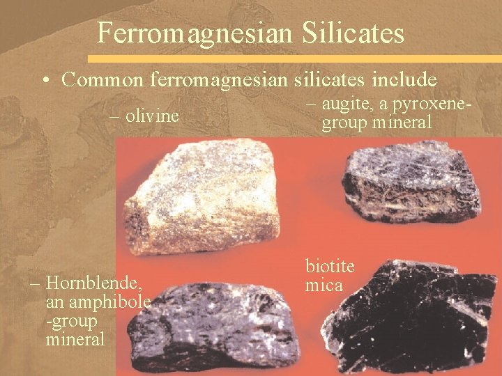 Ferromagnesian Silicates • Common ferromagnesian silicates include – olivine – Hornblende, an amphibole -group